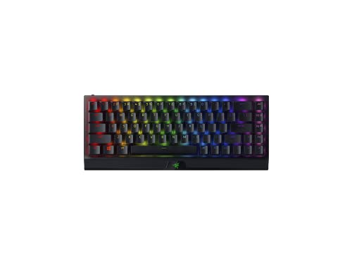 Razer BlackWidow V3 Mini...